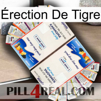Érection De Tigre kamagra1